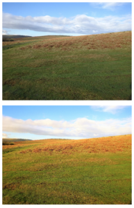 View across Dartmoor