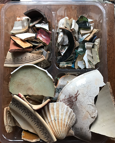 Jane Mahood's treasure from the beach